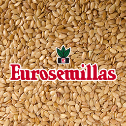 empresa