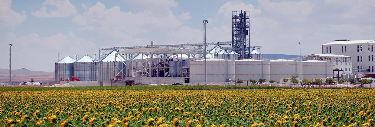 cab-aceite